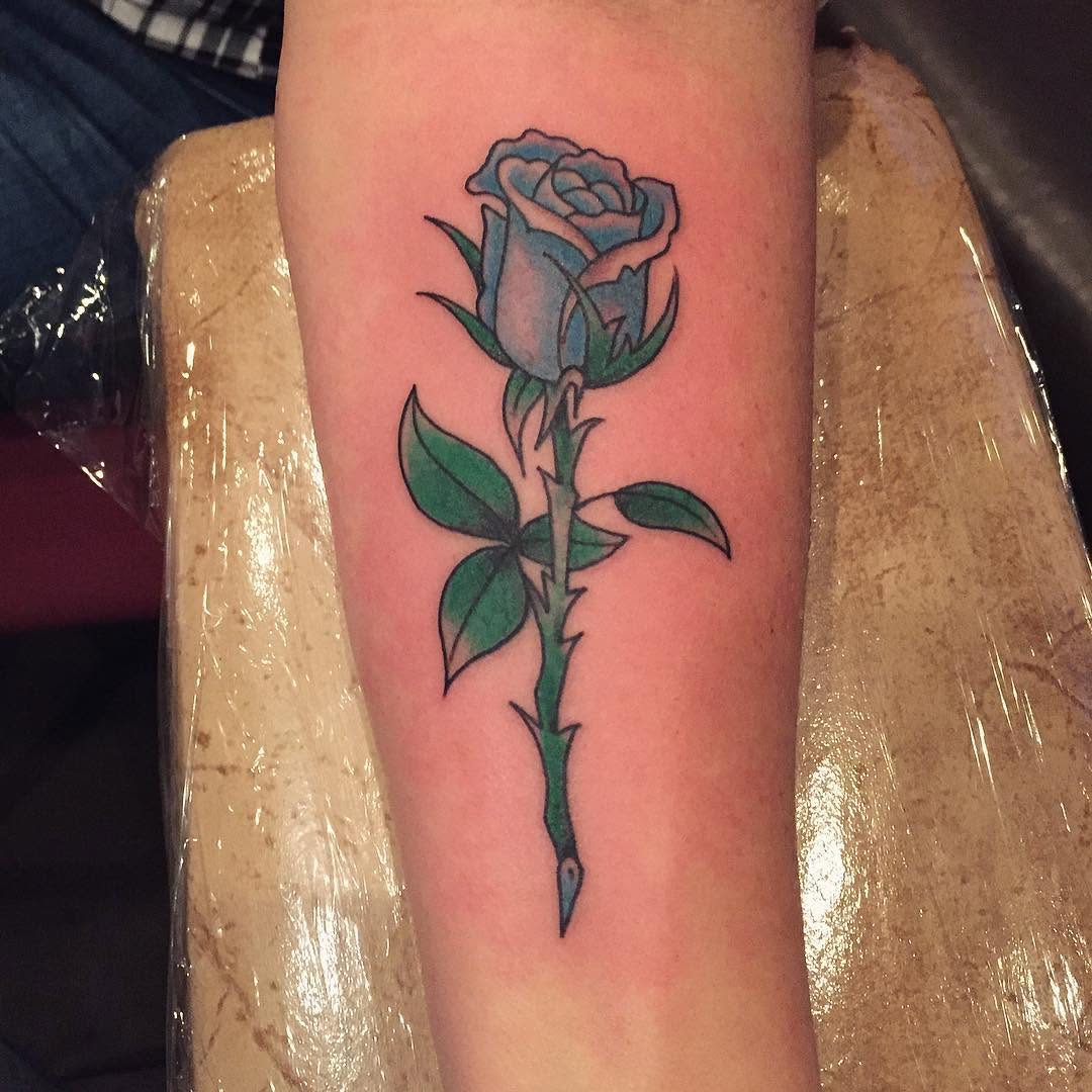 Flower, Rose, Nature