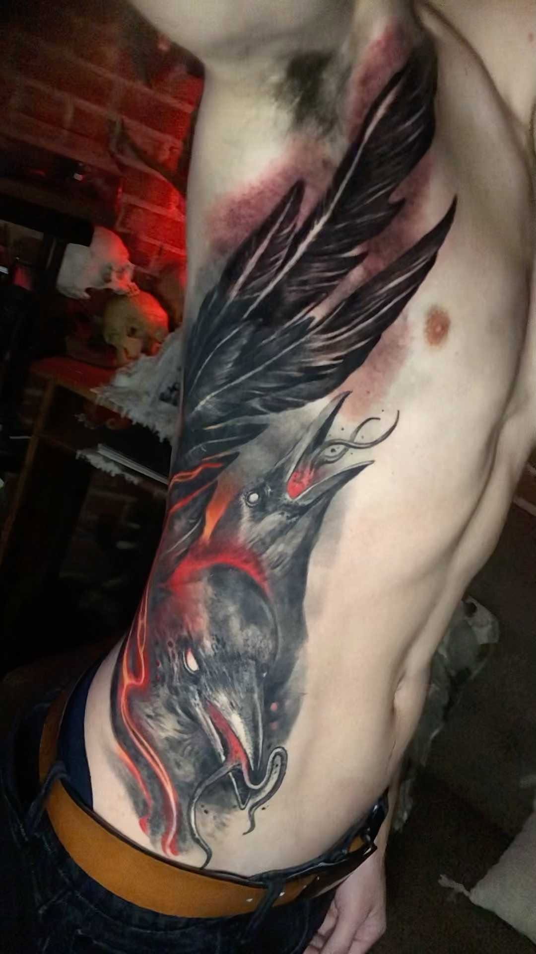 Animal