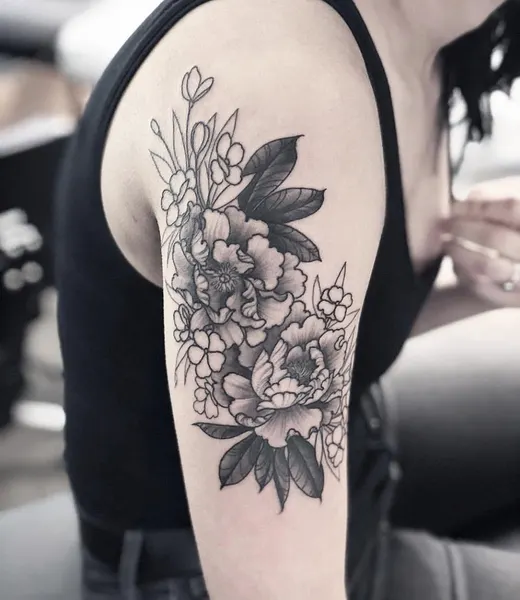 Nature, Flower, Rose
