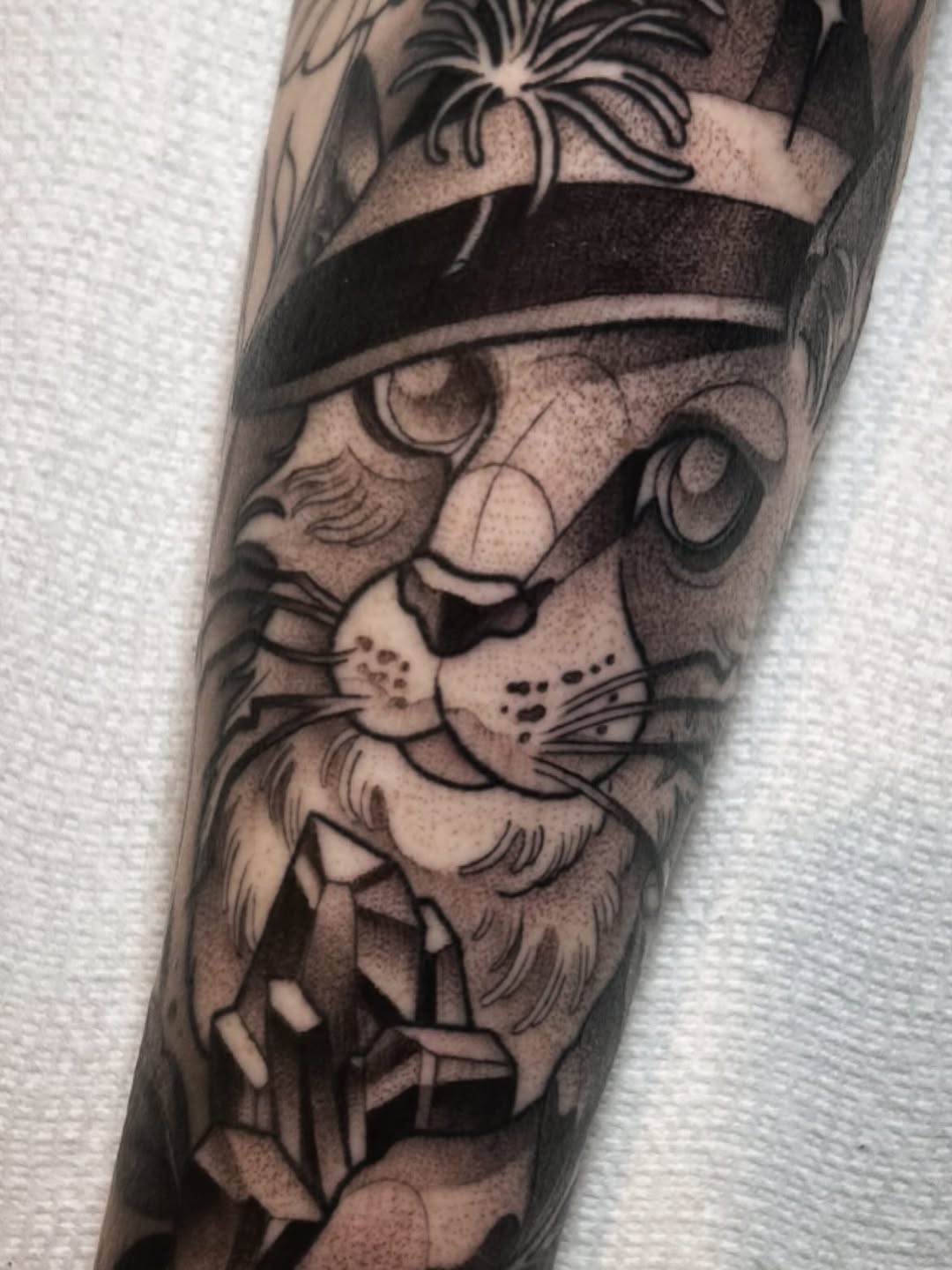 Tiger, Animal