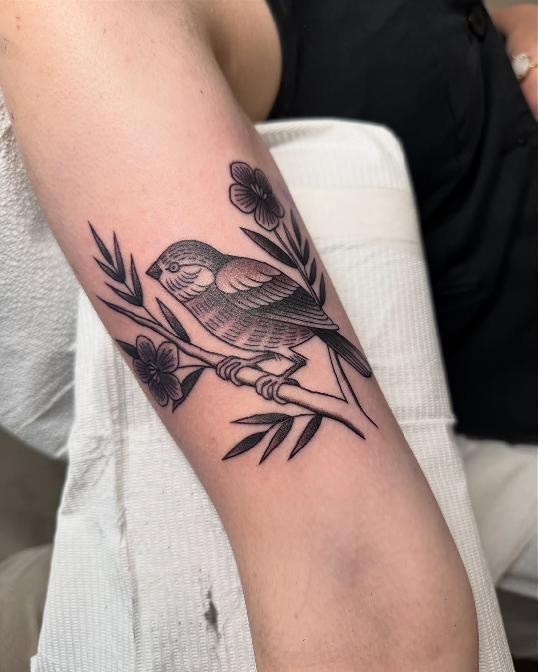 Animal, Flower