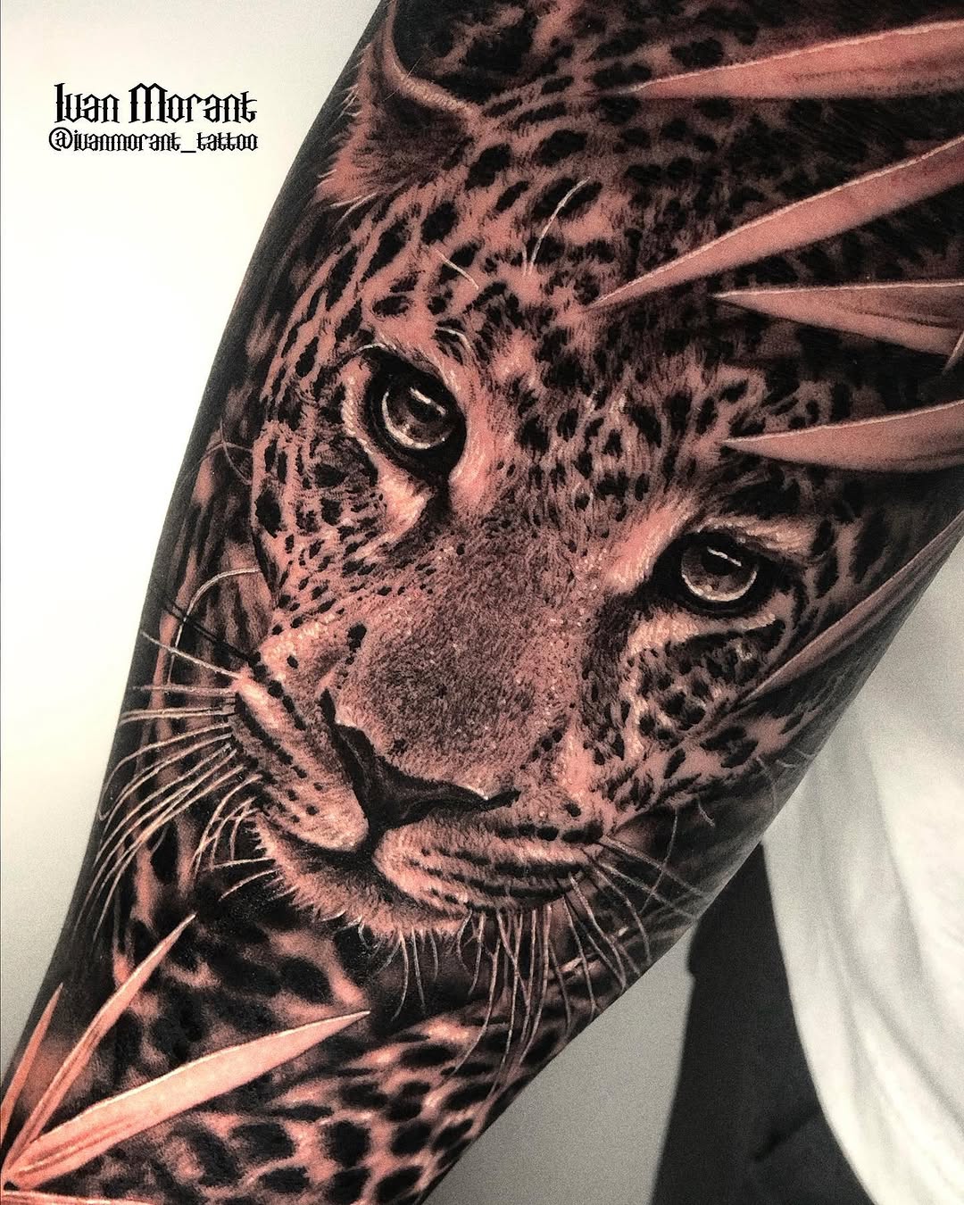 Animal, 재규어, 치타, 표범