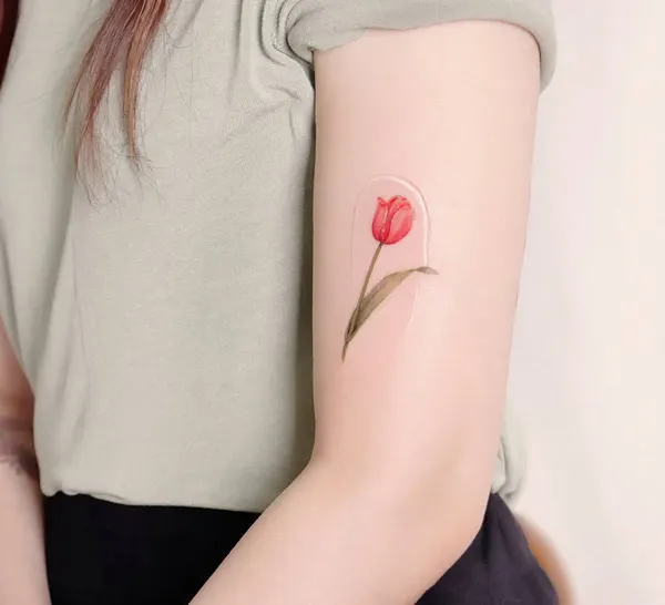 Flower, 양귀비, Rose