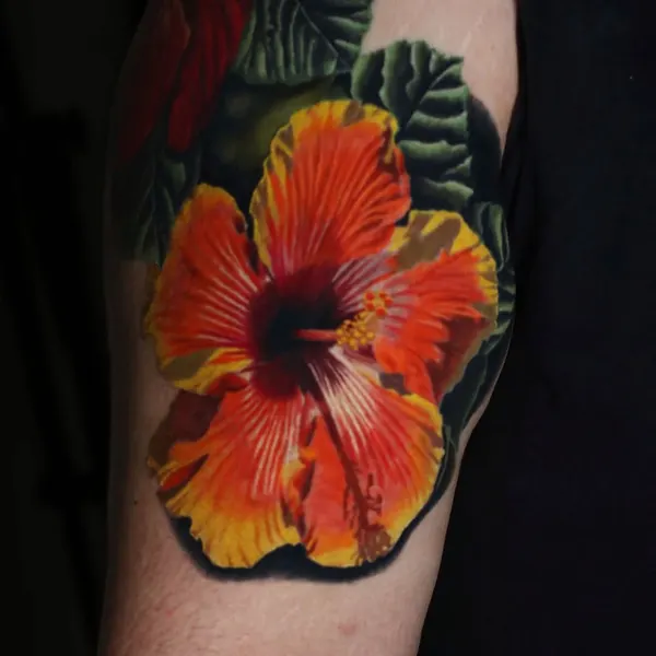 Flower, Nature