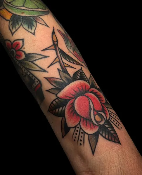 Flower, Rose