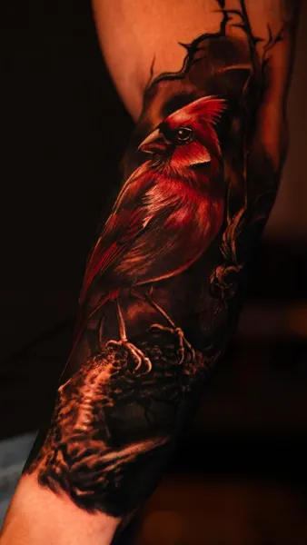 Flower, Animal, Nature