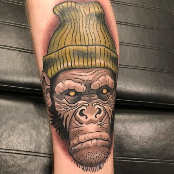 Tiger, Animal