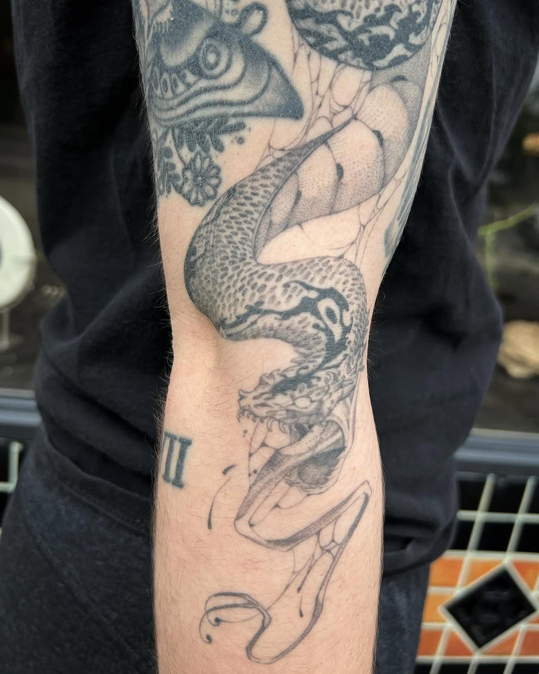 Dragon
