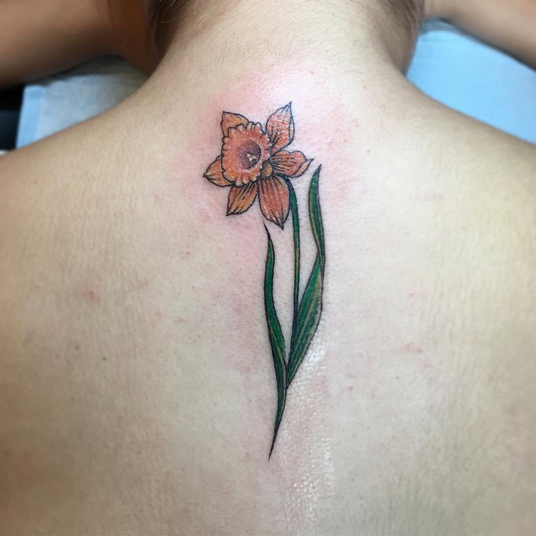 Flower, Nature