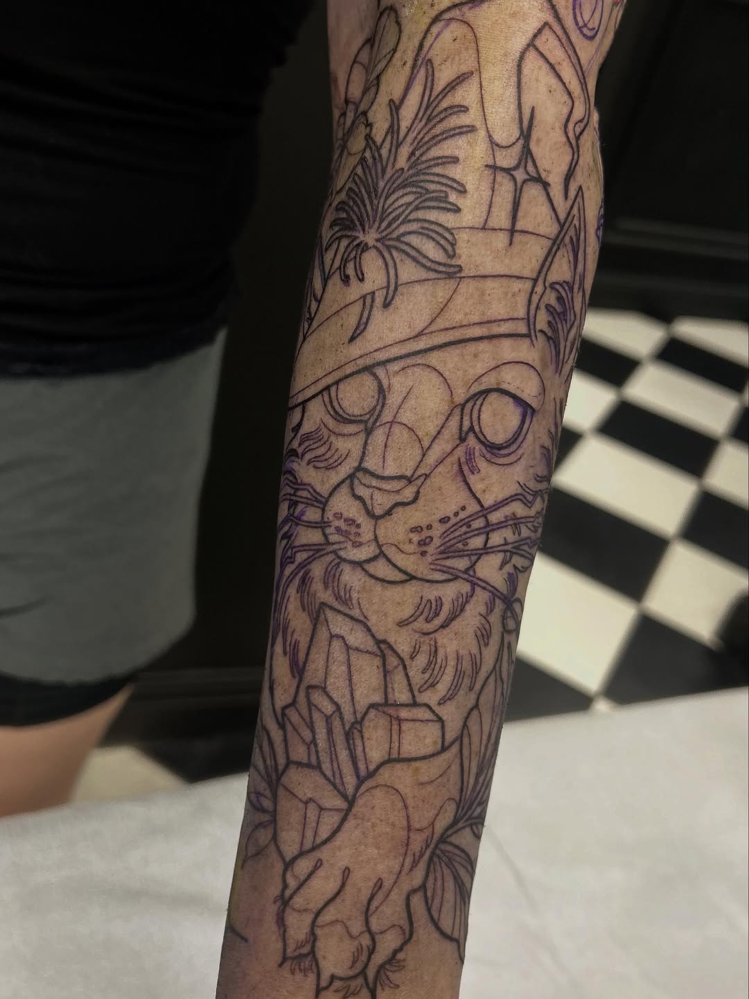 sarastigmata