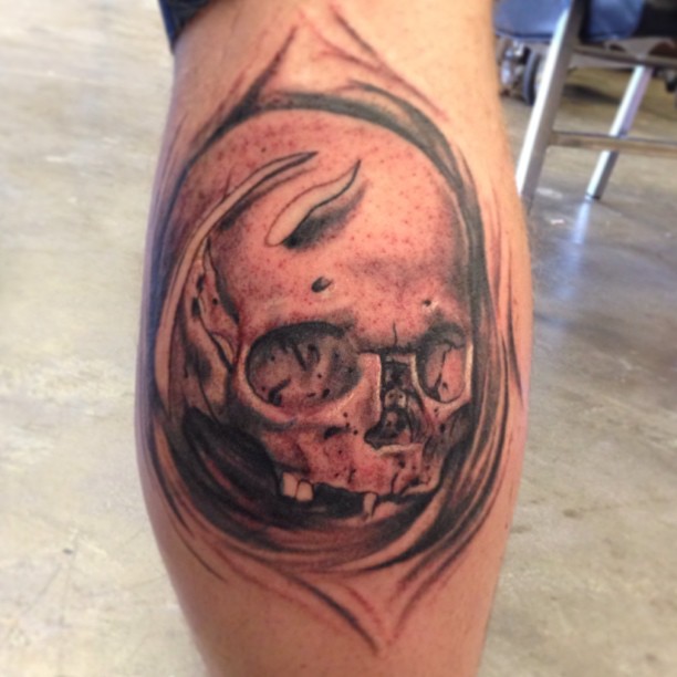 Bash Nasty