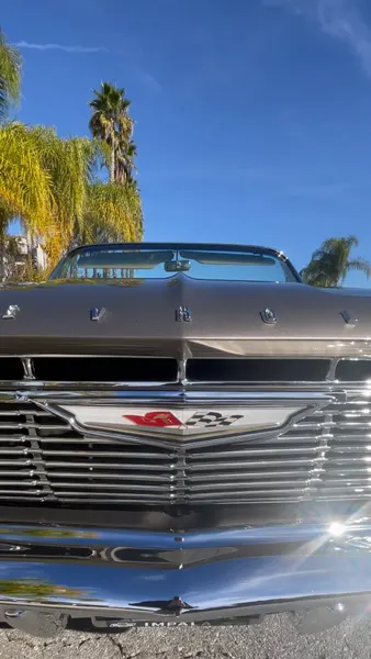 Fernie Andrade