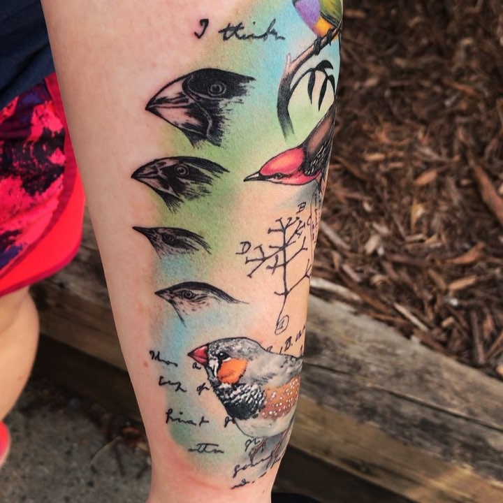 Sloo Tattoos