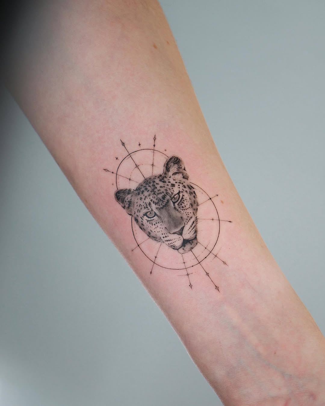 Animal, 표범, 재규어
