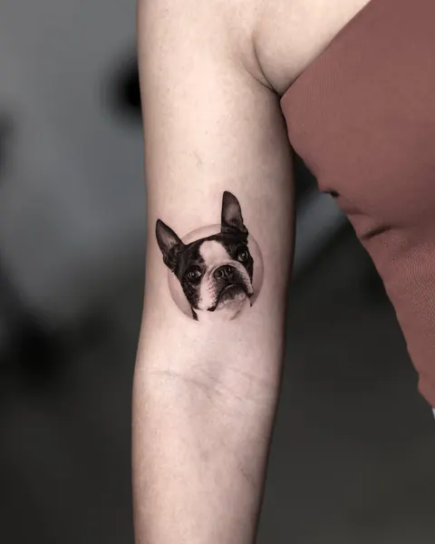Animal