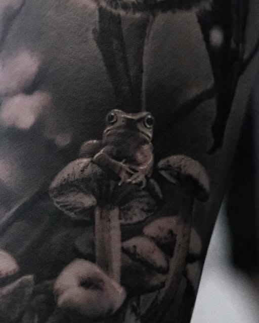 Dragon, 박쥐