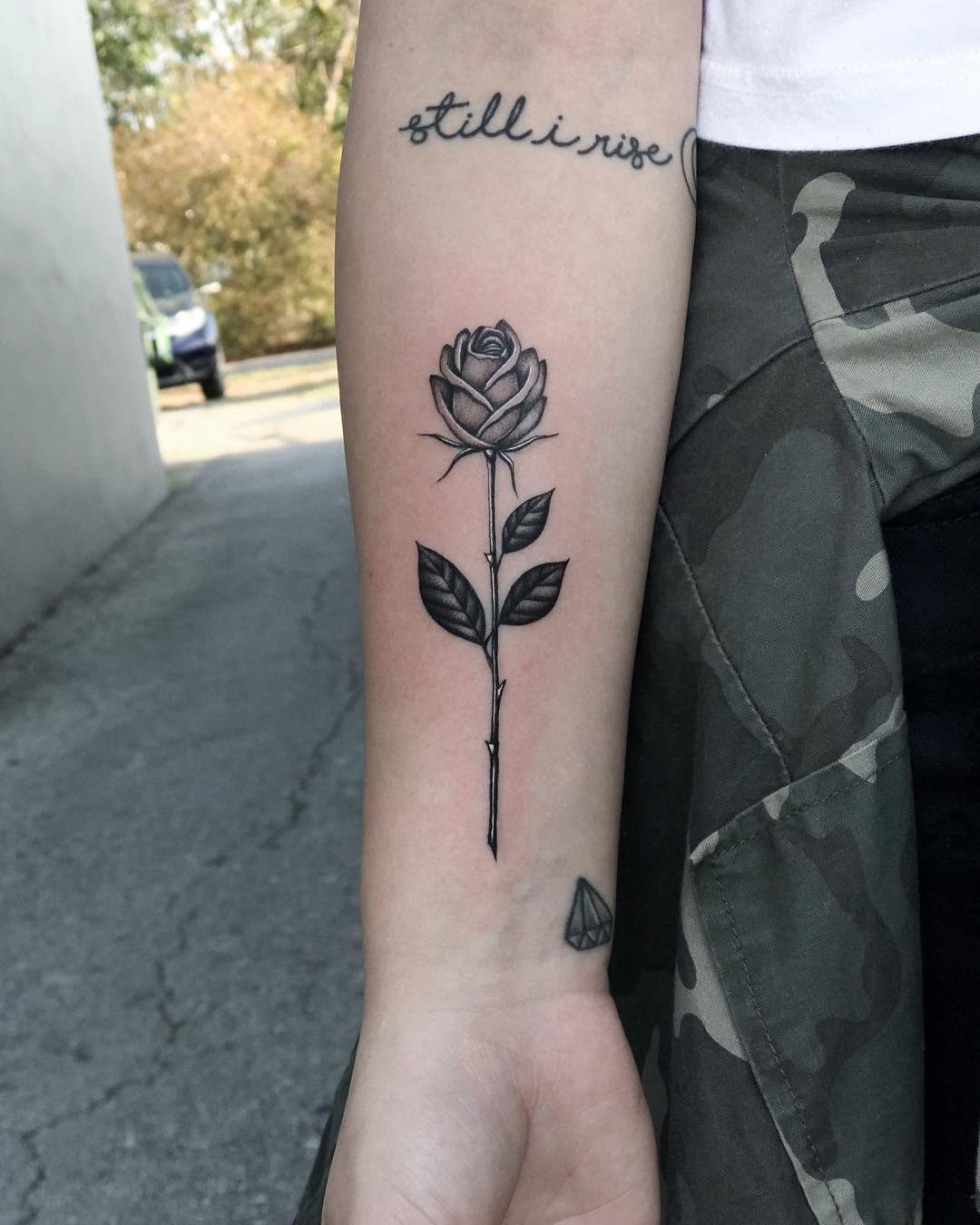 Flower, Rose