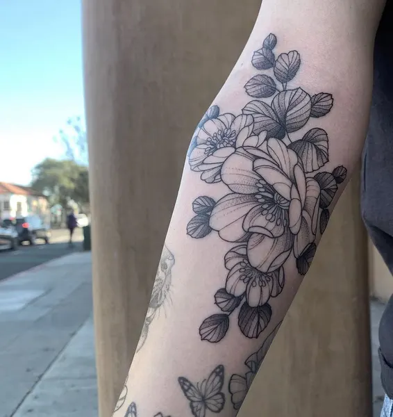 Flower, Rose