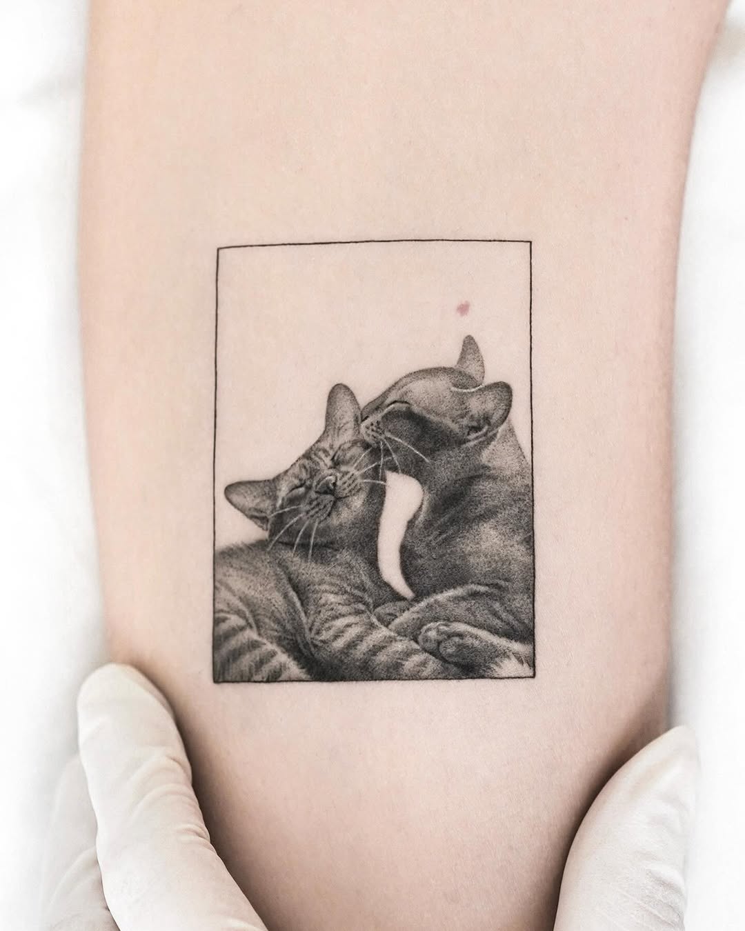 dorok.tattoo