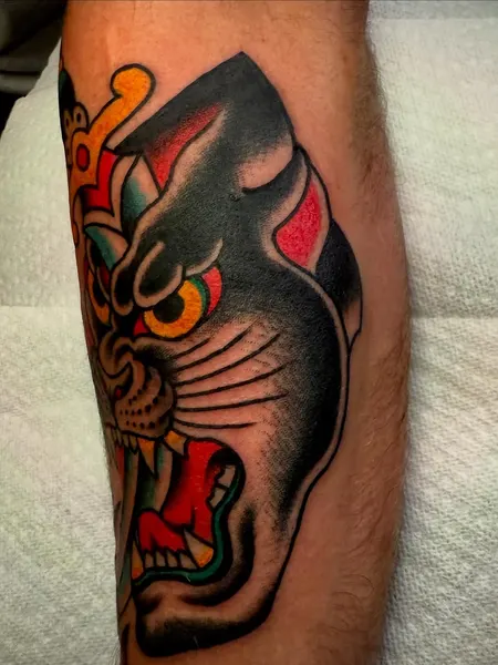 Tiger, Animal