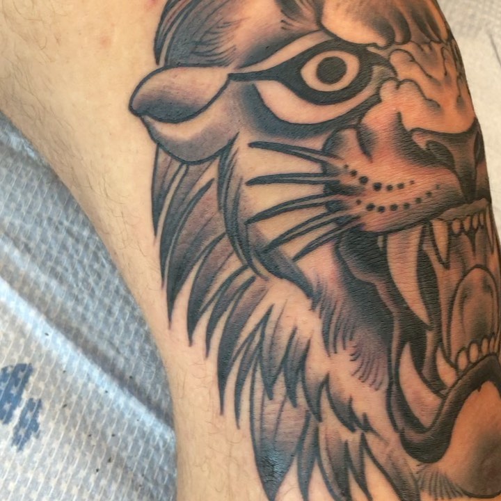 Tiger, Animal
