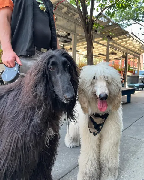 snuffy.nyc