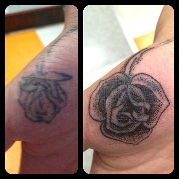 Flower, Rose