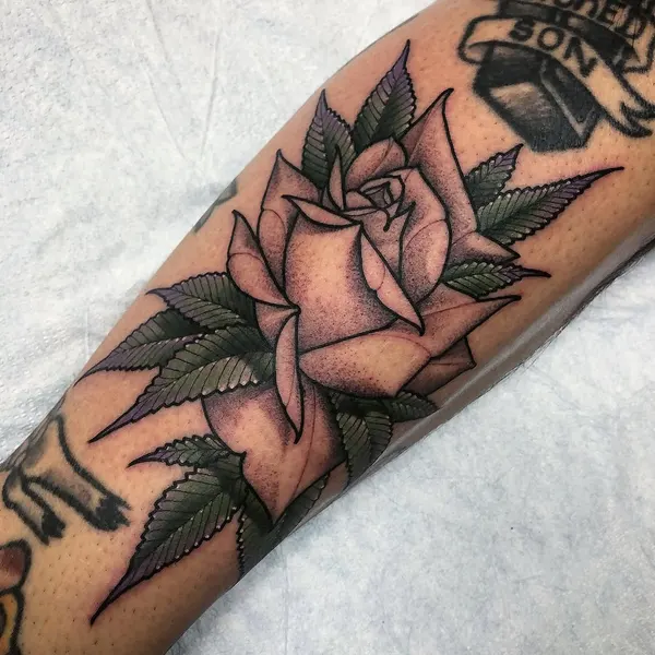 Rose, Flower