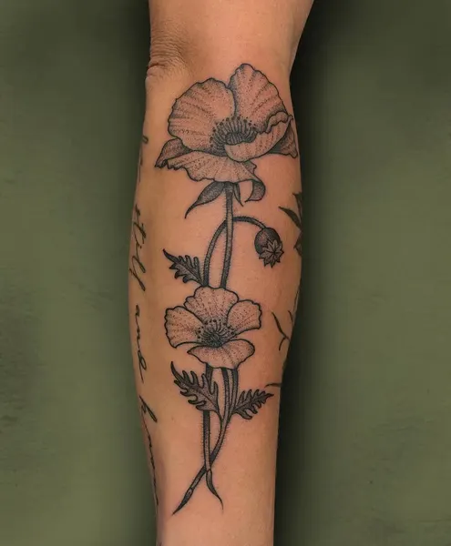 Flower, Rose