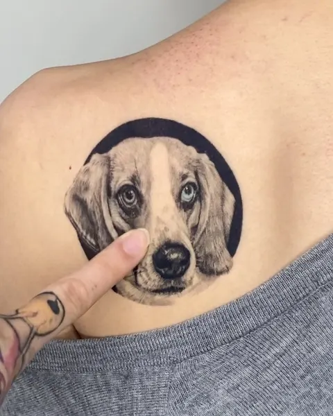 Animal