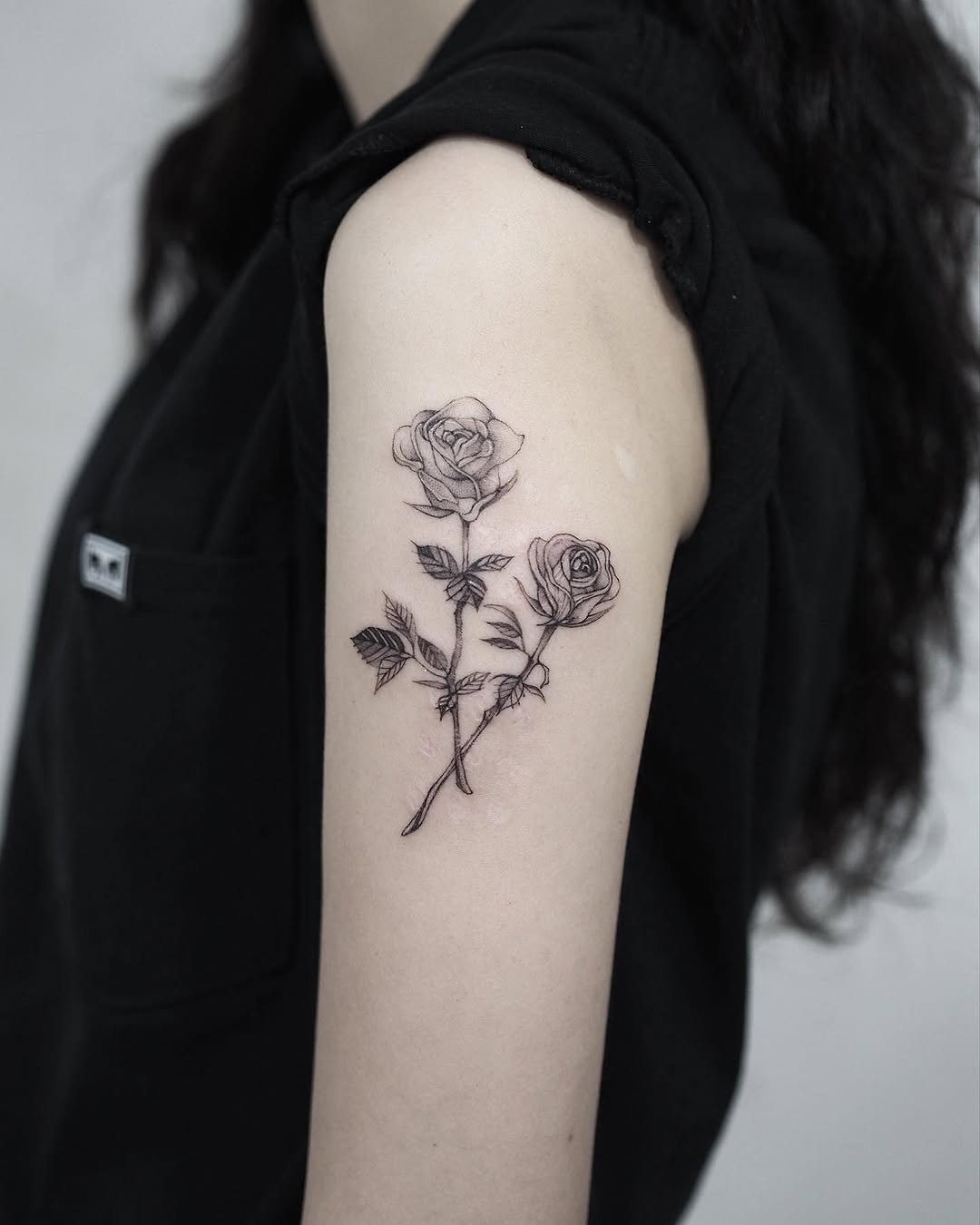 Flower, Rose, Nature