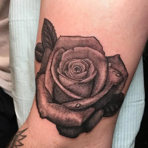 Flower, Rose