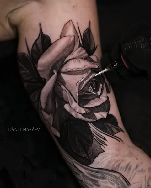 Flower, Rose
