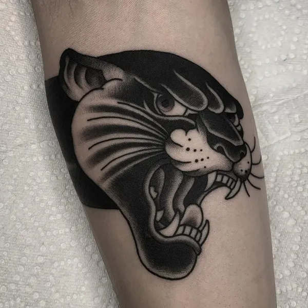 Animal, Tiger