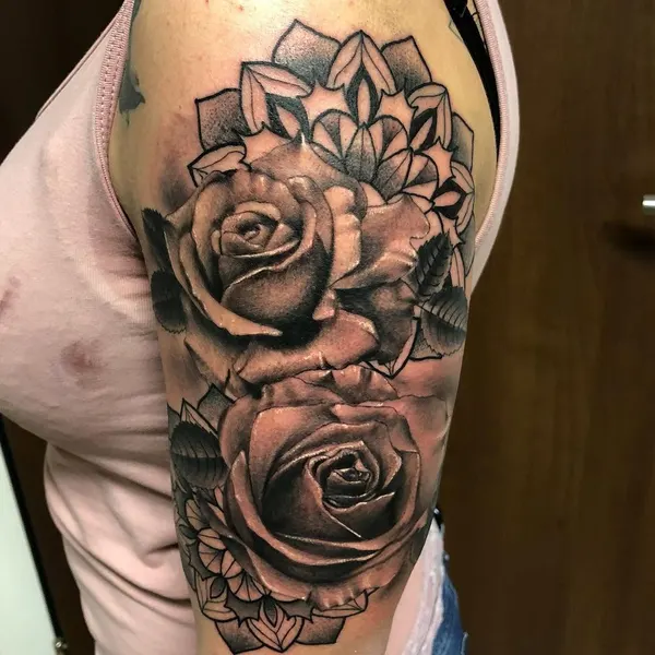 Flower, Rose, Nature