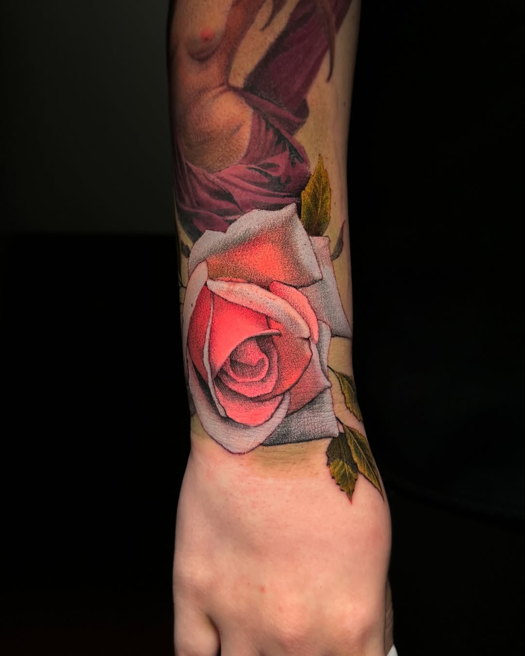 Flower, Rose
