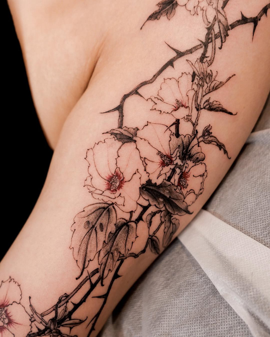 Flower, Rose