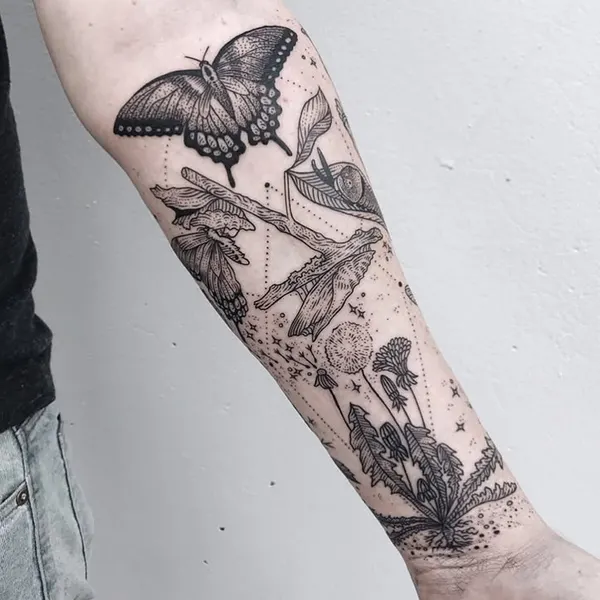 Animal, Nature, Flower