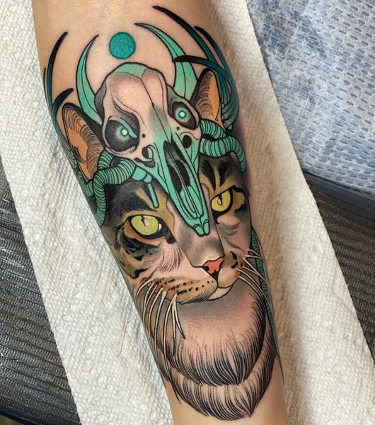Tiger, Animal