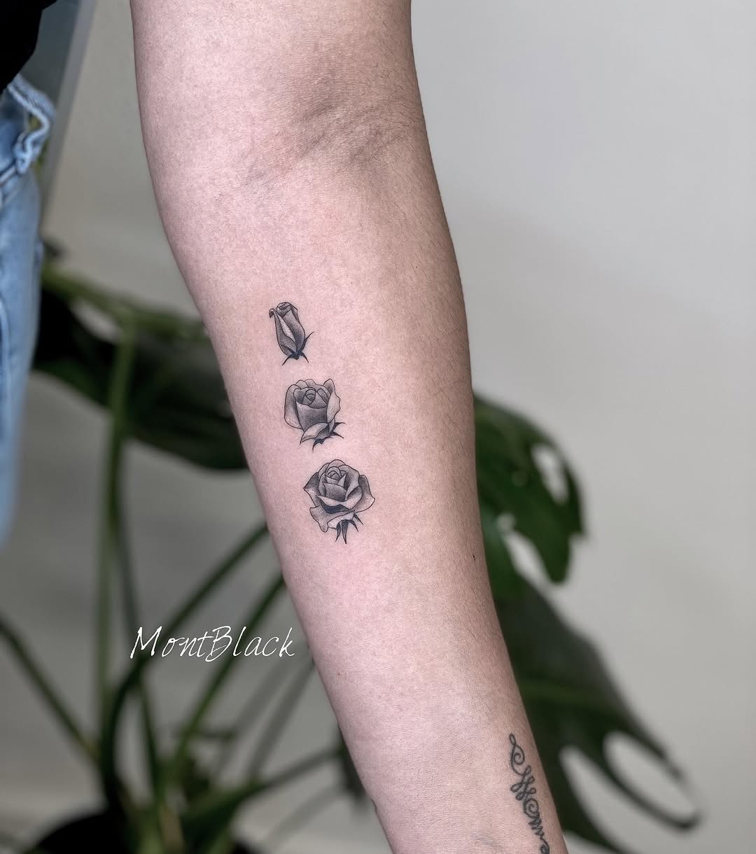 Rose, Flower