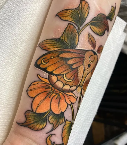 Animal, Nature, Flower