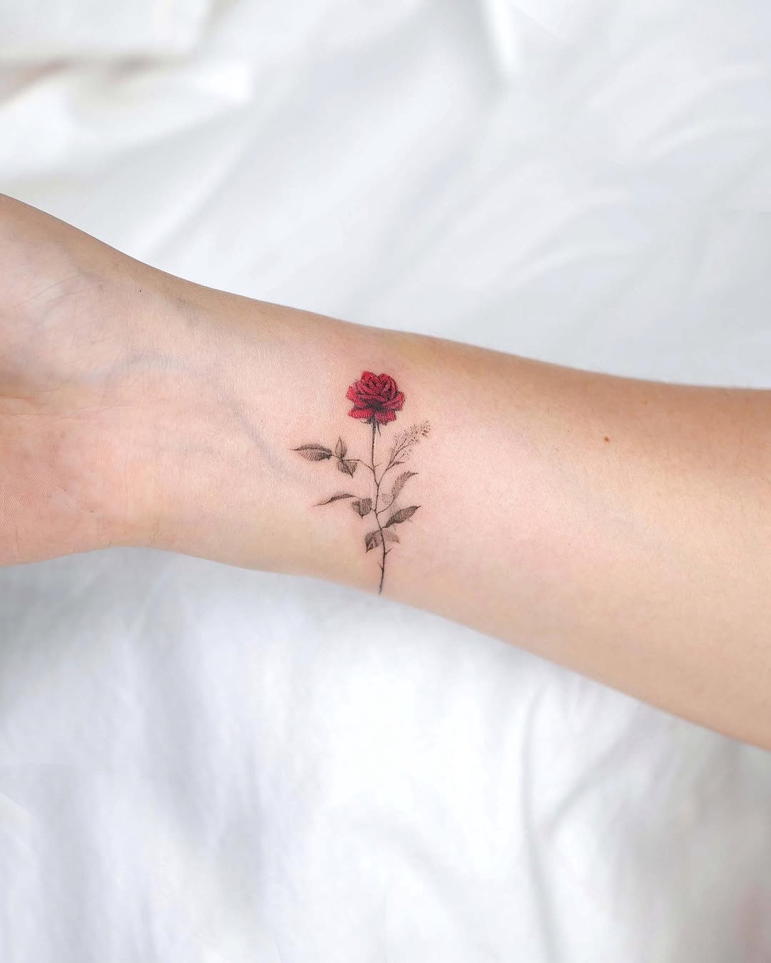 Flower, Rose