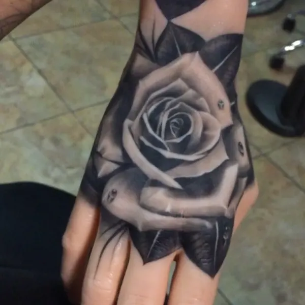 Flower, Rose
