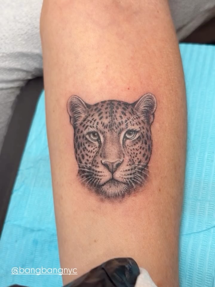 Animal, 표범, 치타, 재규어
