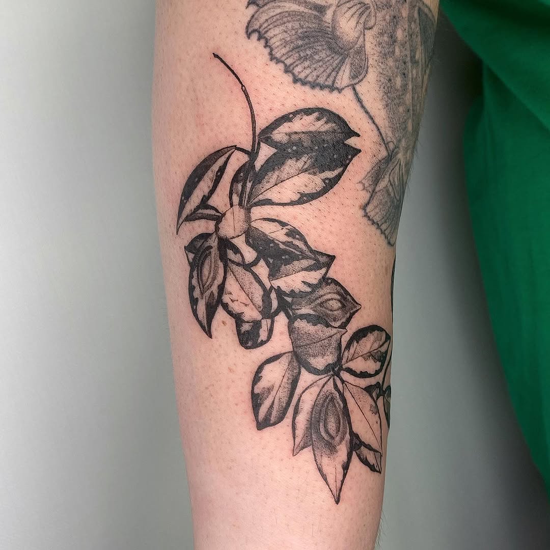 plantsnpokes