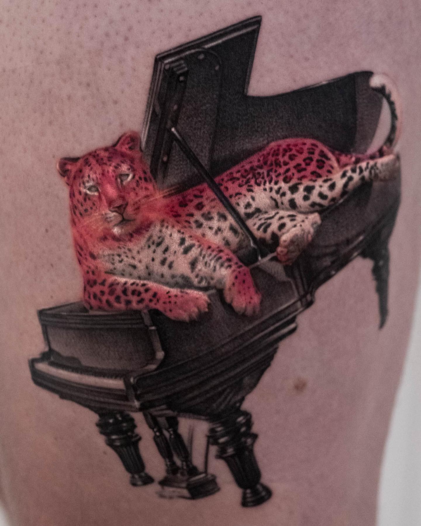 Animal, 재규어, 표범, 치타, Tiger