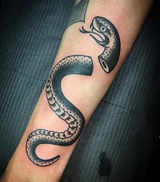 Dragon, Snake