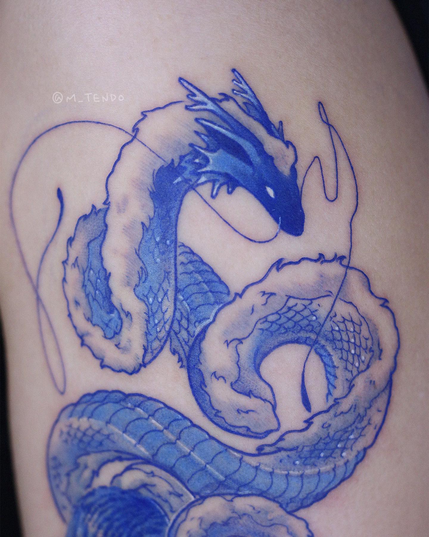 Tiger, Dragon