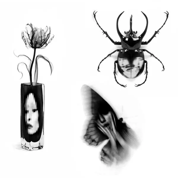 plantsnpokes