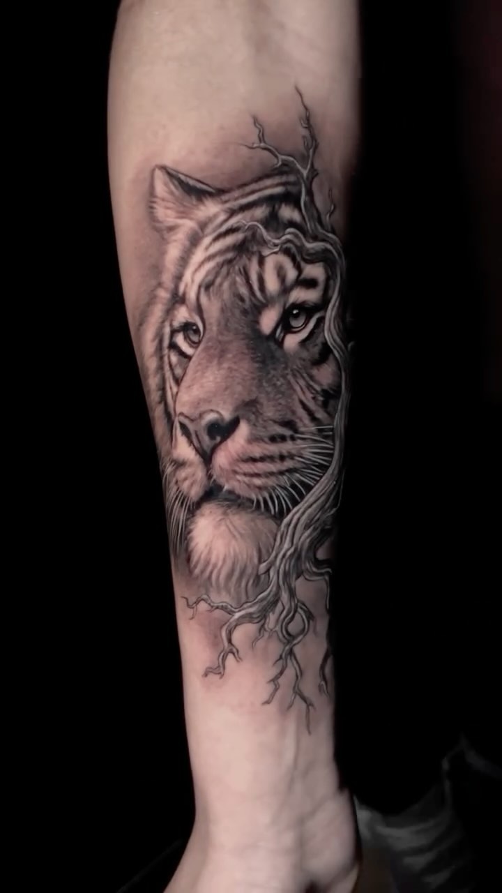 Tiger